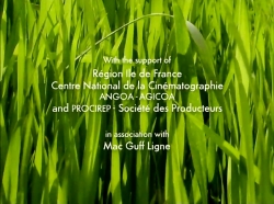 خیلی خیلی کوچک (1) (پبیش فعال)